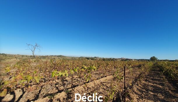 Terrain  à vendre Servian 34290