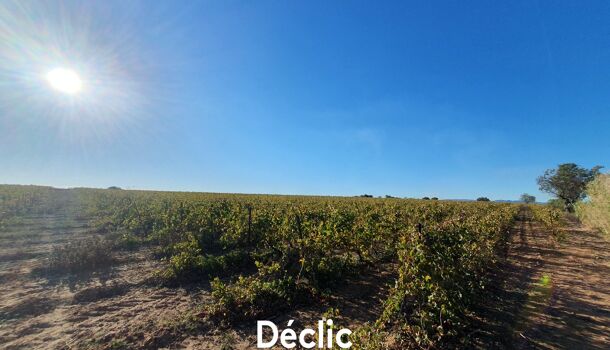 Terrain  à vendre Servian 34290