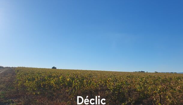 Terrain  à vendre Servian 34290