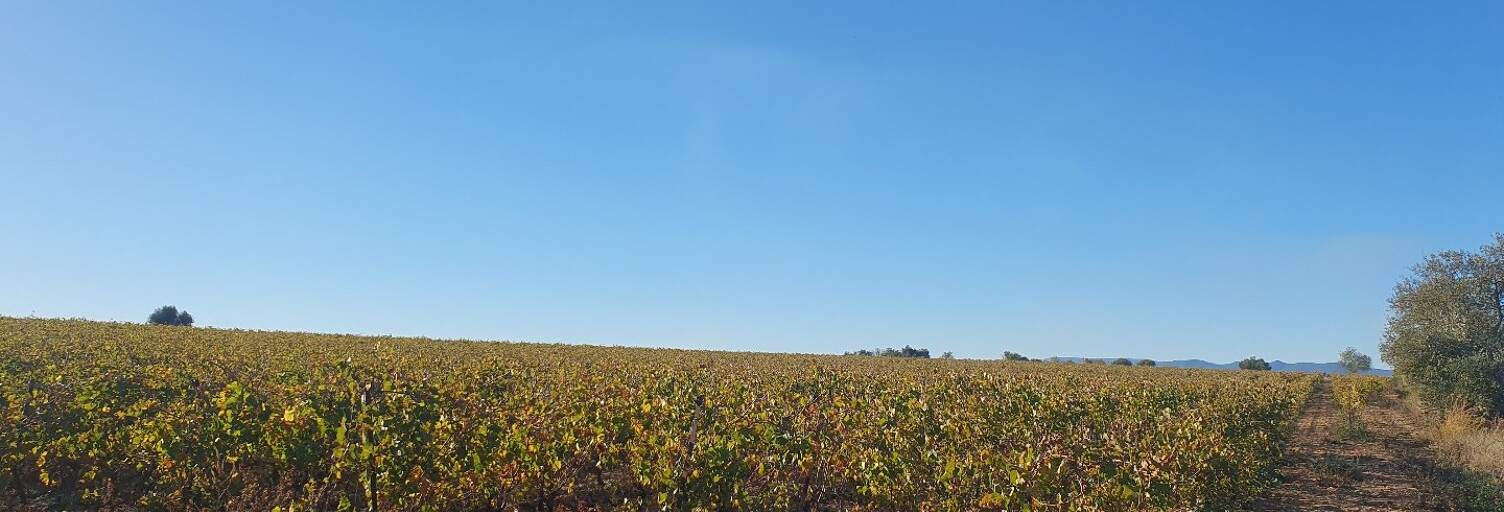 Terrain   m² à vendre à Servian (34290)