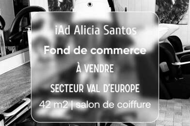 Commerce  49000 €