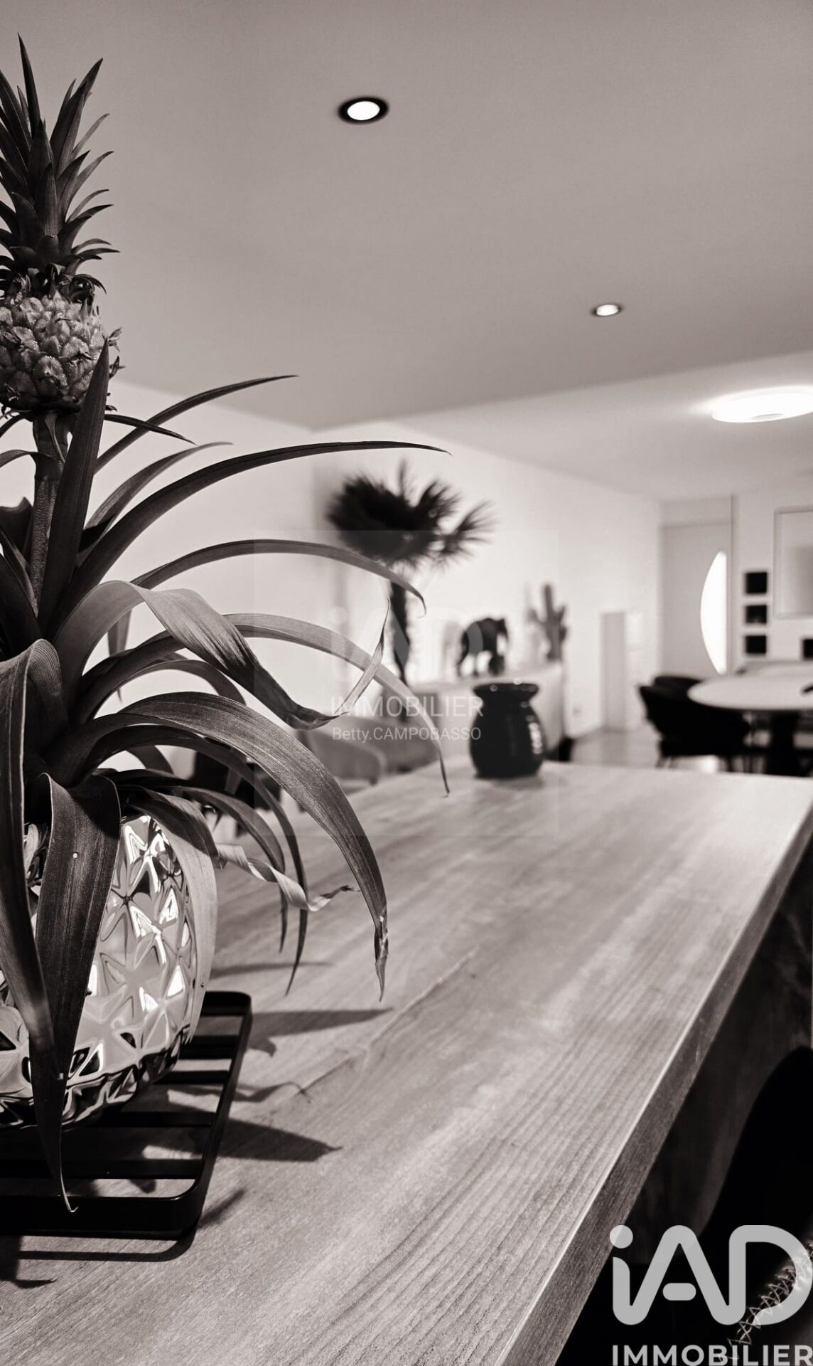 Conde-Sur-L-Escaut - 85m² - 3p. - 1ch.