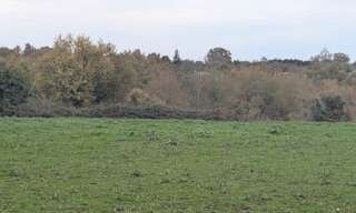 Terrain  28147 m² à vendre à Saint-Caprais-de-Bordeaux (33880)