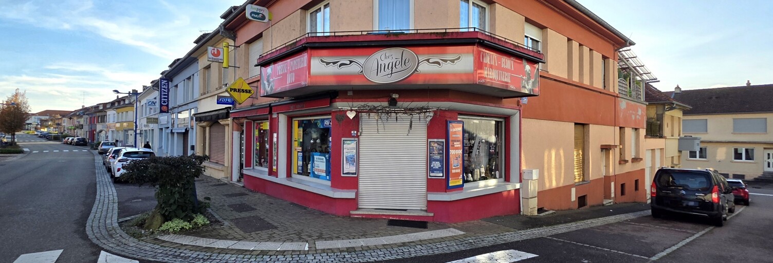 Immeuble  232 m² à vendre à Puttelange-aux-Lacs (57510)