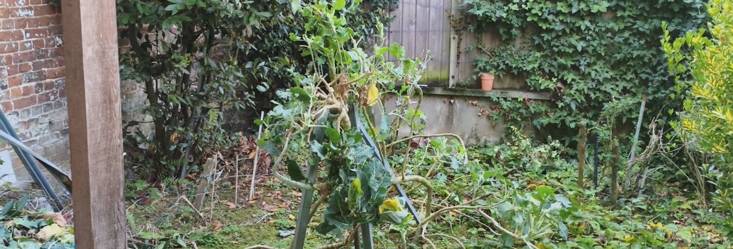 Maison 5 Pièces 116 m² à vendre à Roubaix (59100)