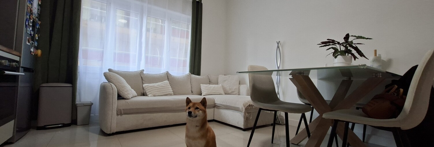 Appartement 3 Pièces 48 m² à vendre à Cannes (06400)