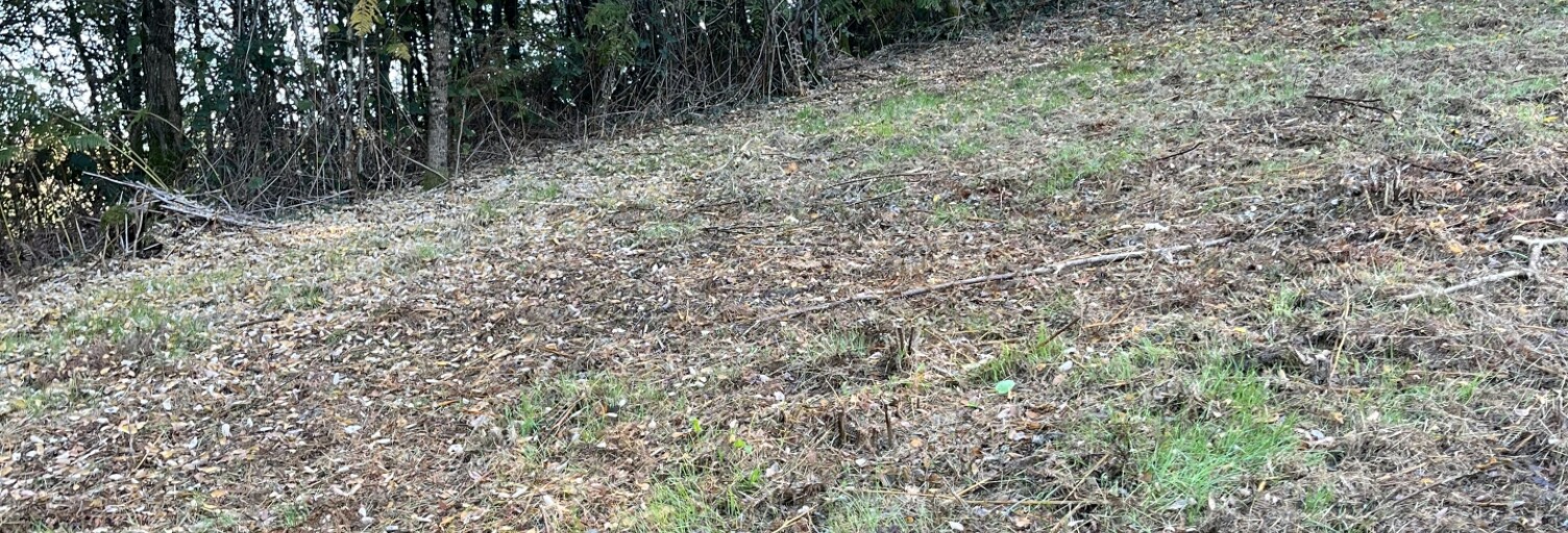 Terrain  2000 m² à vendre à Uzerche (19140)