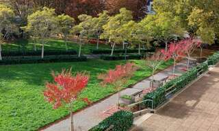 Appartement 3 Pièces 74 m² à vendre à Angers (49100)