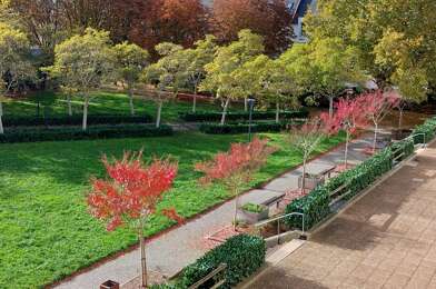 Appartement 3 pièces 212500 €