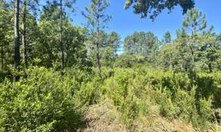 Terrain  930 m² à vendre à Le Barp (33114)