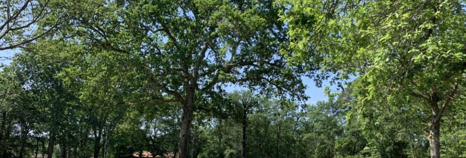 Terrain  950 m² à vendre à Saint-Aubin-de-Médoc (33160)