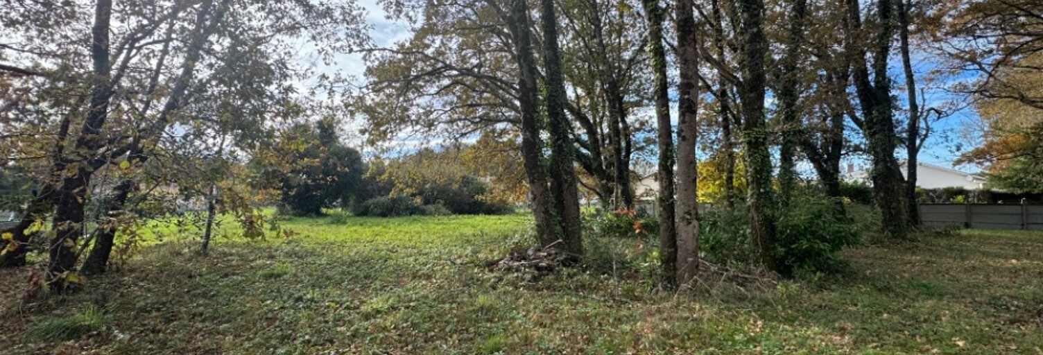 Terrain  1804 m² à vendre à Lesparre-Médoc (33340)