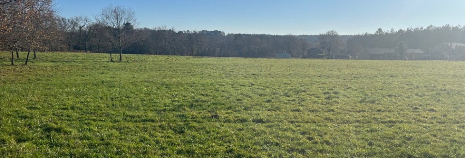 Terrain  1000 m² à vendre à Casteljaloux (47700)