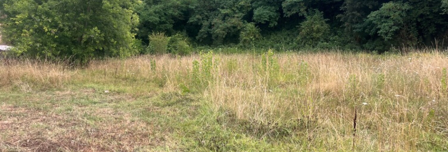 Terrain  900 m² à vendre à Bajamont (47480)