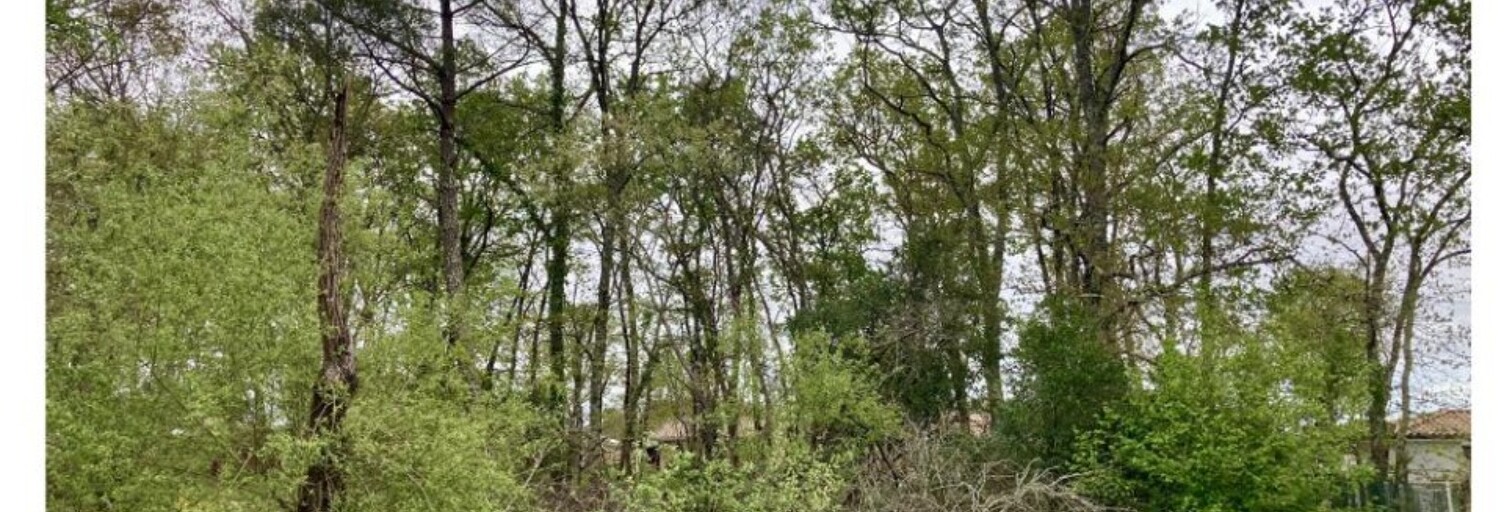 Terrain  545 m² à vendre à Brach (33480)