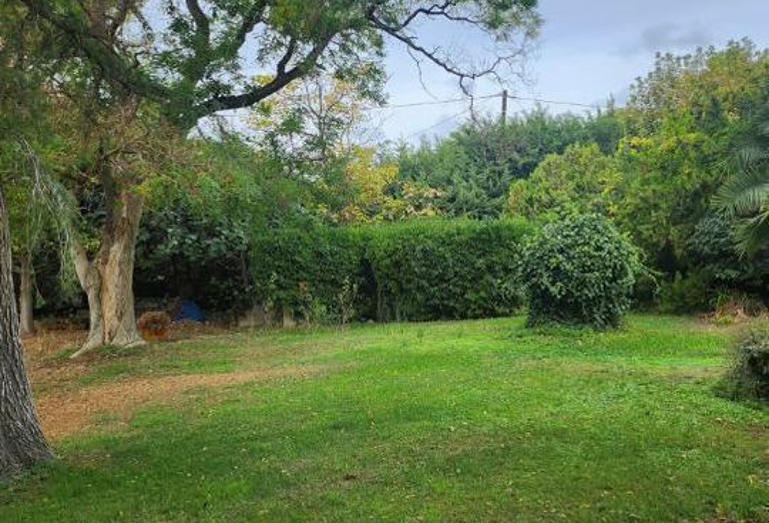 Vente Terrain à Bâtir — photo 1