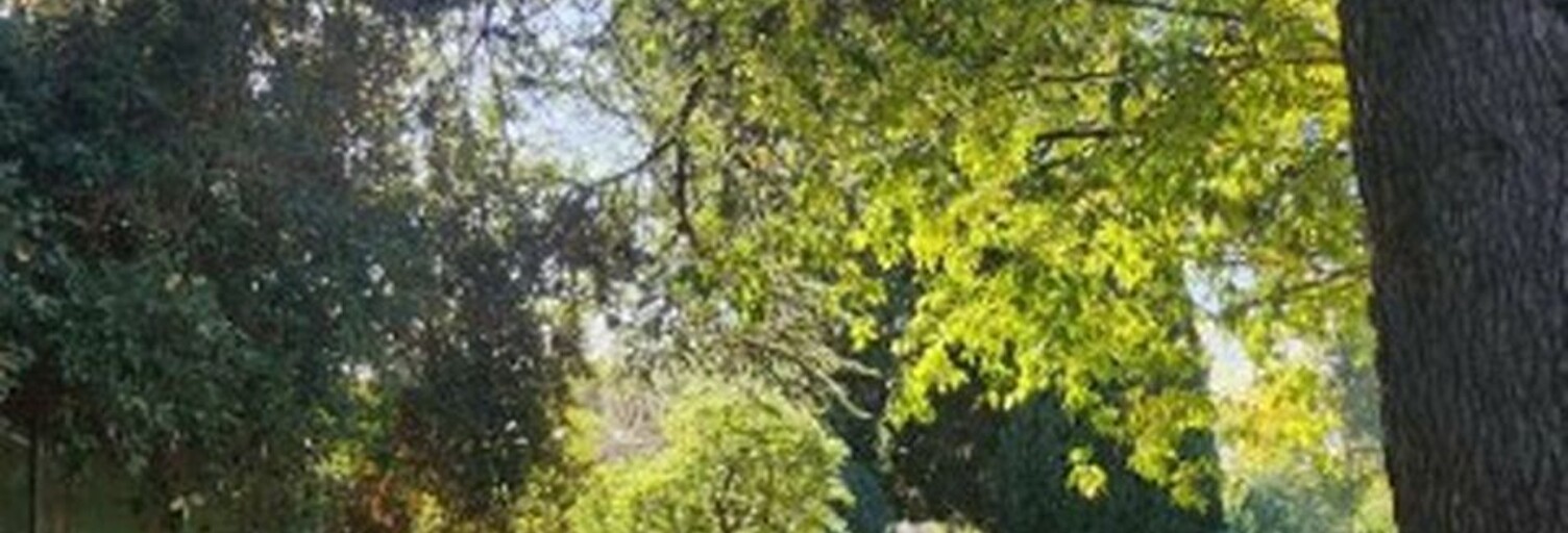 Maison 6 Pièces 264 m² à vendre à Toulon (83000)