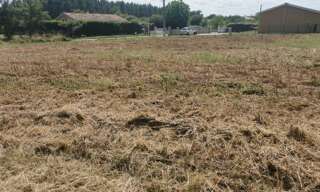 Terrain  2000 m² à vendre à Cauvignac (33690)