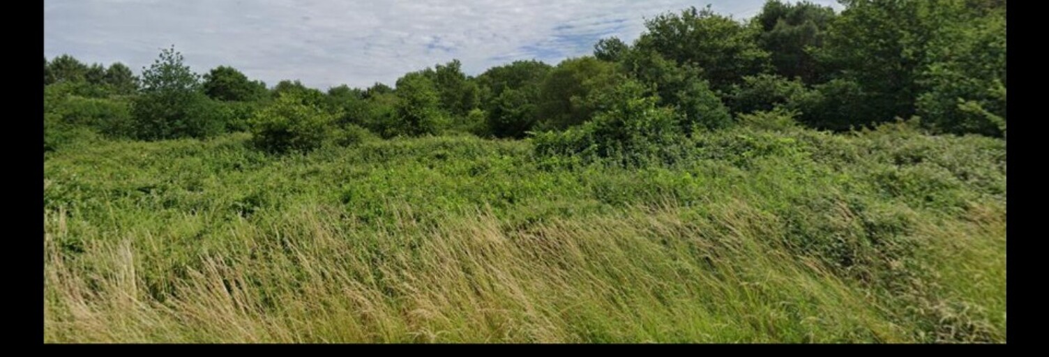 Terrain  1600 m² à vendre à Campugnan (33390)