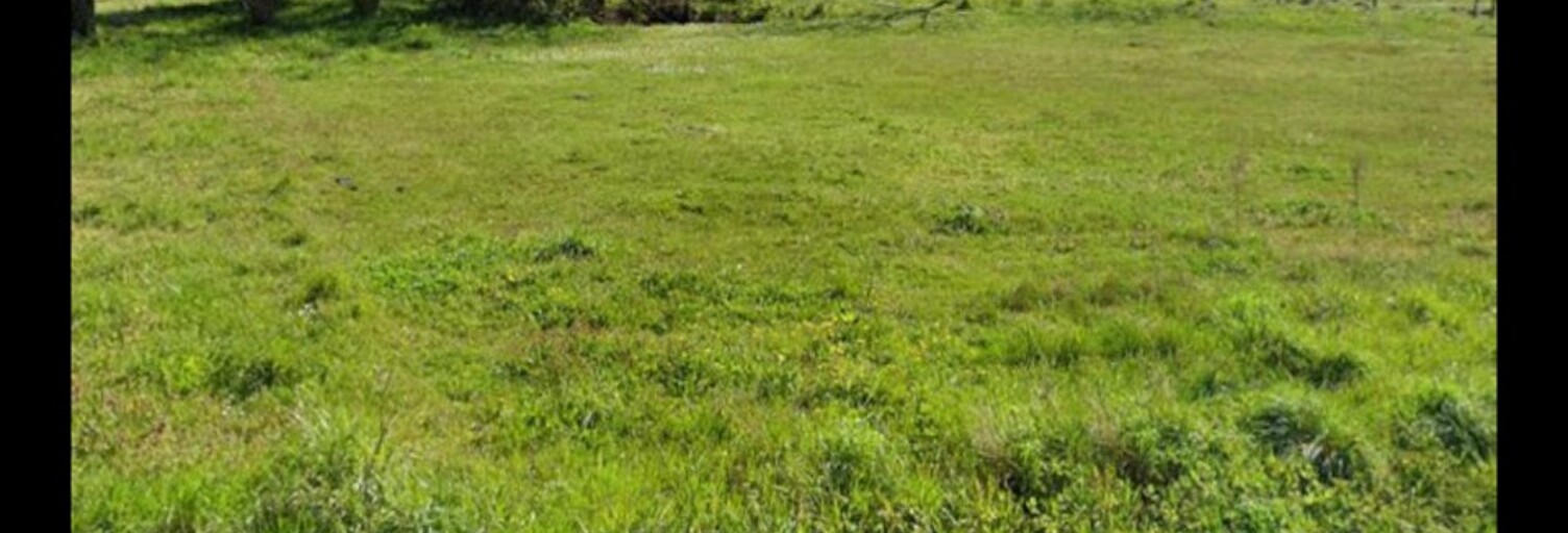 Terrain  645 m² à vendre à Saint-Ciers-sur-Gironde (33820)