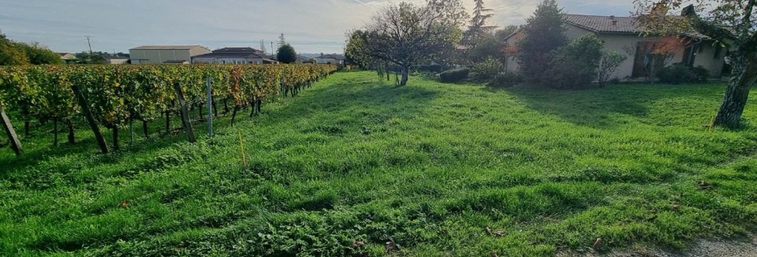 Terrain  877 m² à vendre à Saint-Magne-de-Castillon (33350)