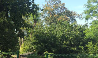 Terrain  222 m² à vendre à Mérignac (33700)