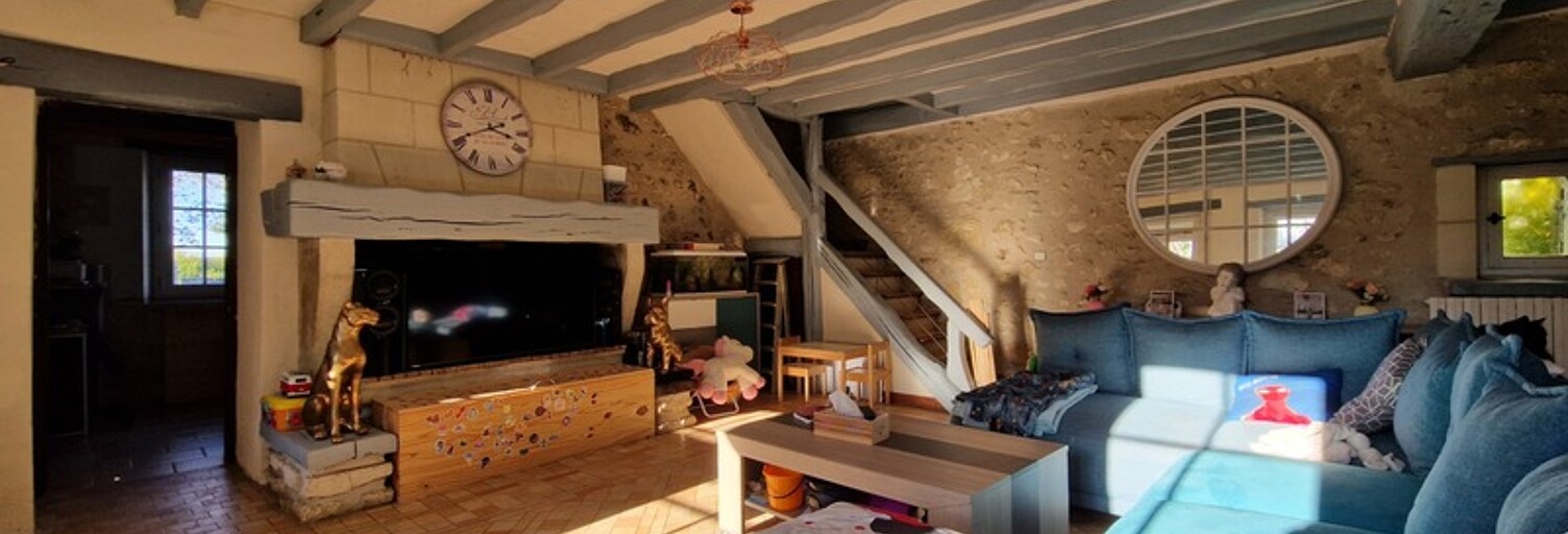 Maison 7 Pièces 206 m² à vendre à Ligueil (37240)