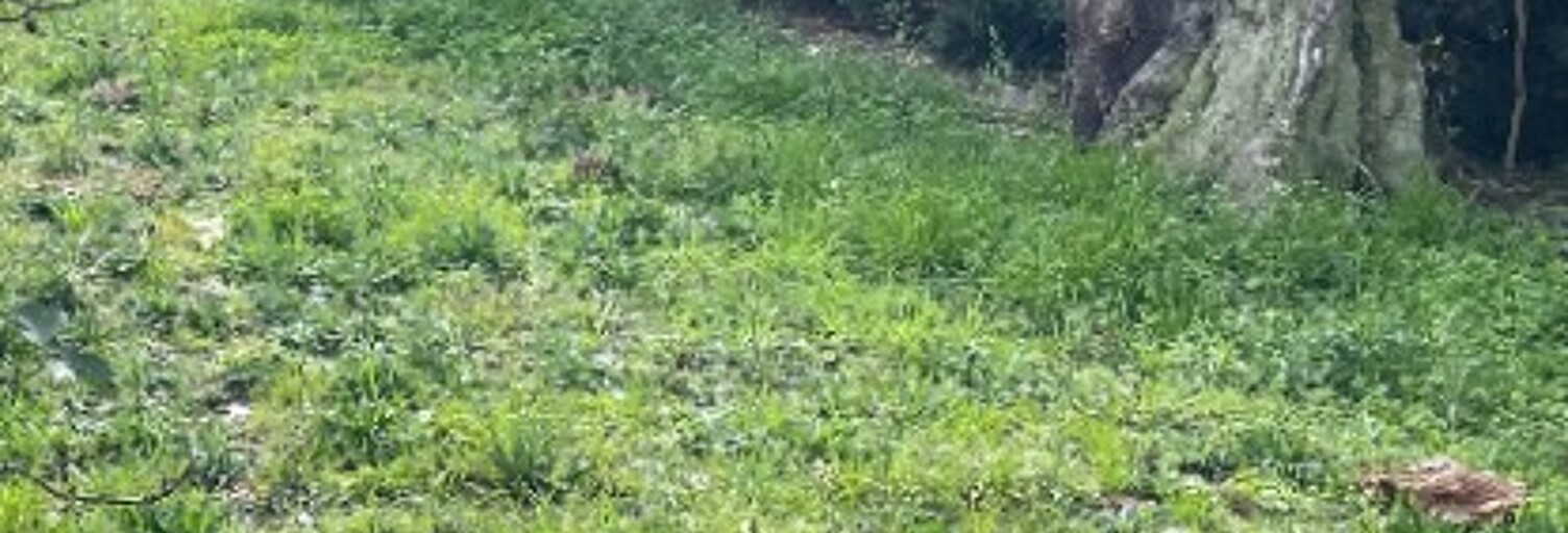 Terrain  450 m² à vendre à Blanquefort (33290)