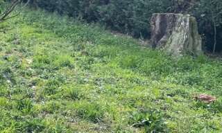 Terrain  450 m² à vendre à Blanquefort (33290)