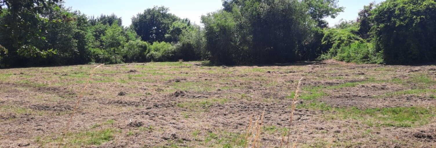 Terrain  1000 m² à vendre à Lugos (33830)