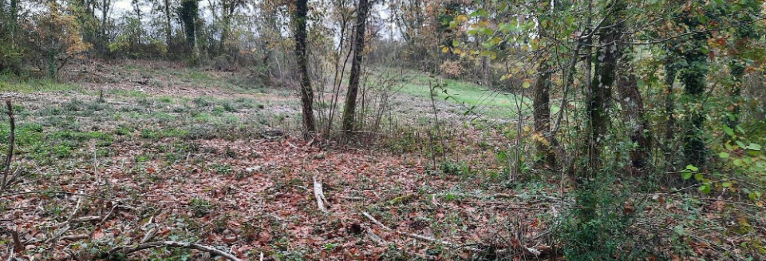 Terrain  2000 m² à vendre à Eyraud-Crempse-Maurens (24140)