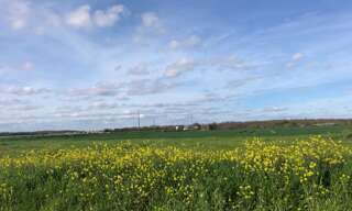 Terrain  419 m² à vendre à Bourgneuf (17220)