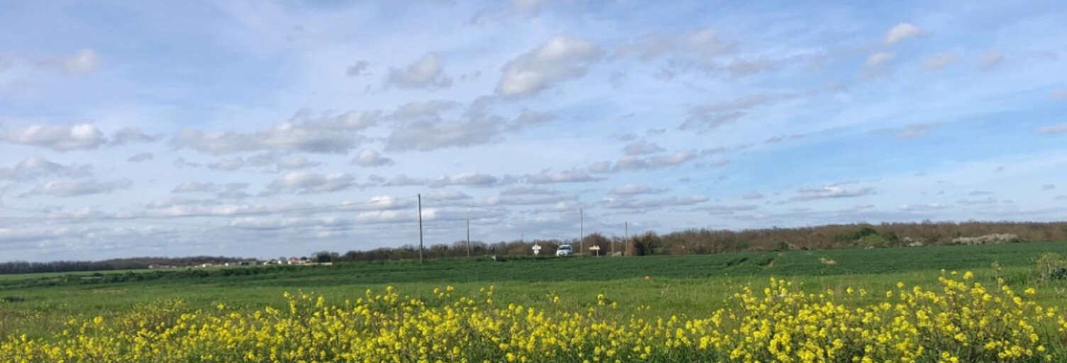 Terrain  419 m² à vendre à Bourgneuf (17220)