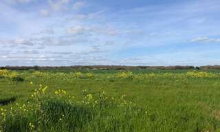 Terrain  316 m² à vendre à Bourgneuf (17220)