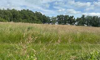 Terrain  600 m² à vendre à Arveyres (33500)