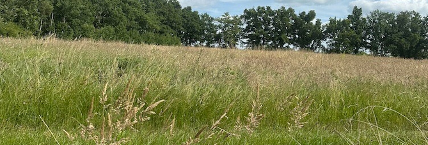 Terrain  600 m² à vendre à Arveyres (33500)