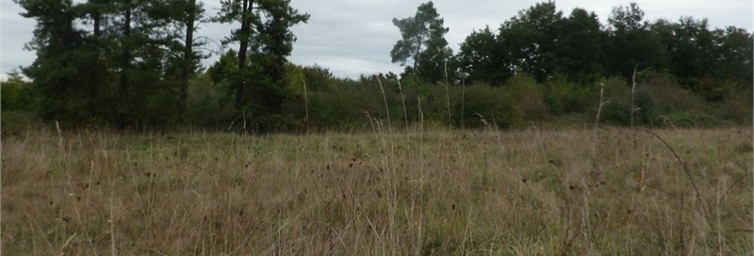 Terrain  410 m² à vendre à Libourne (33500)