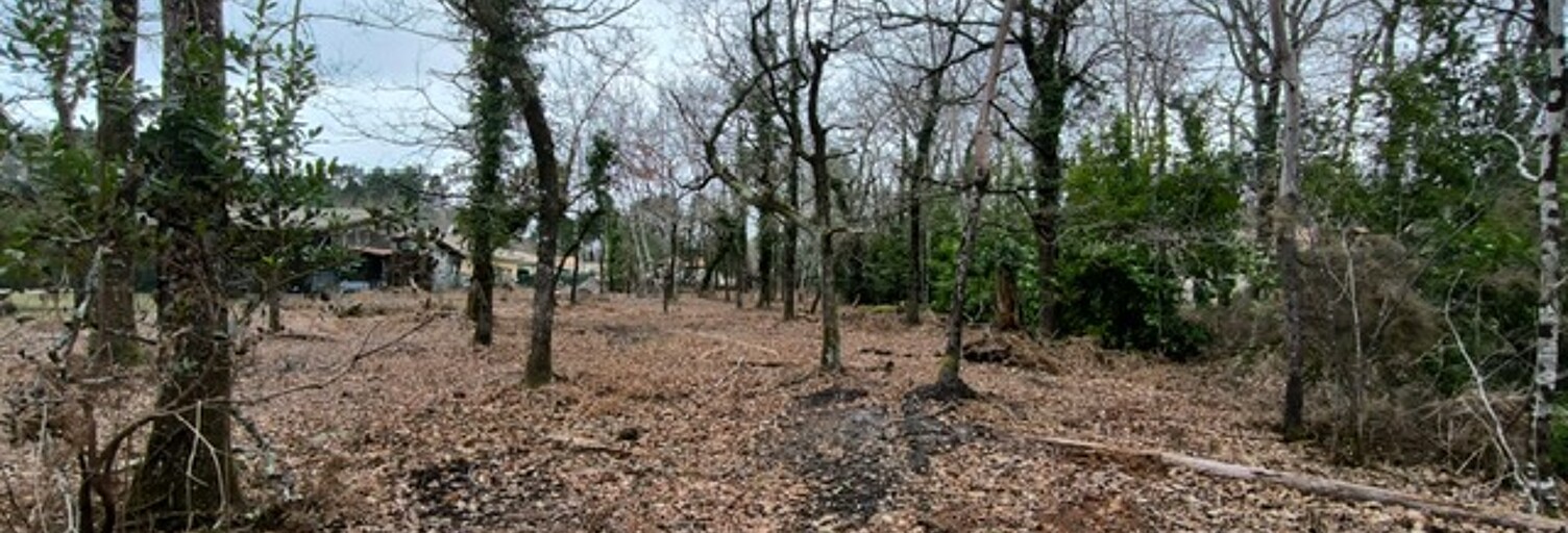 Terrain 696 m² à construire Le Porge (33680)