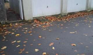 Commerce  14 m² à louer à Saint-Nazaire (44600)