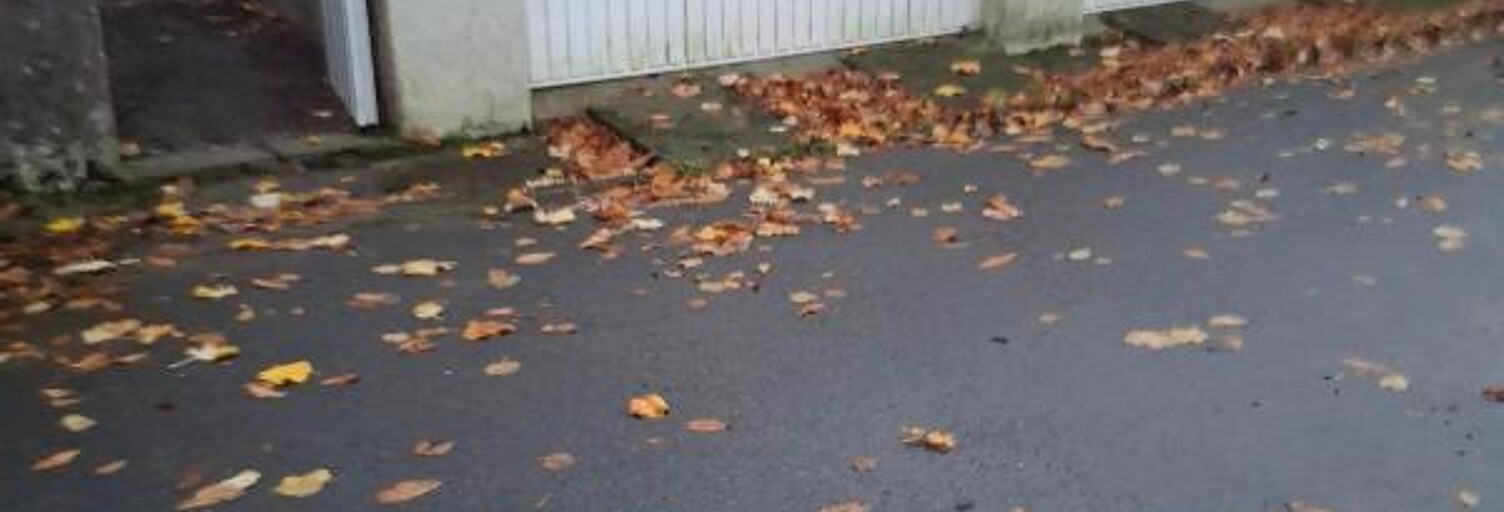 Commerce  14 m² à louer à Saint-Nazaire (44600)