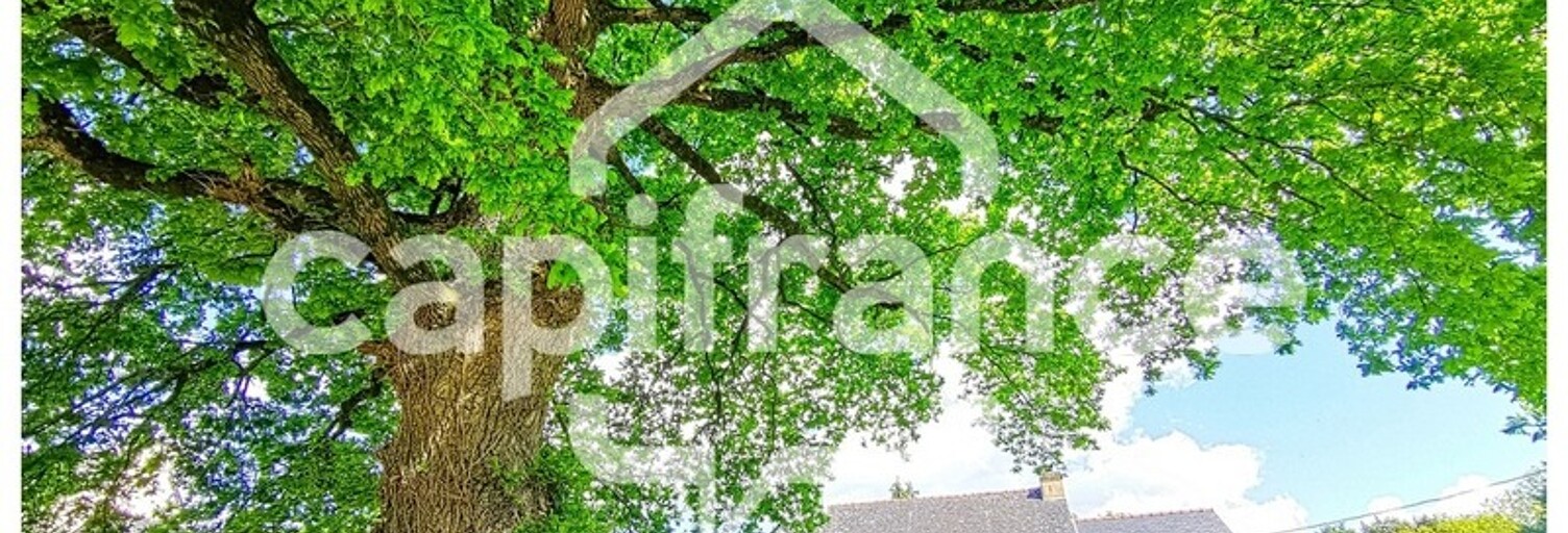 Maison 5 Pièces 117 m² à vendre à Guilliers (56490)