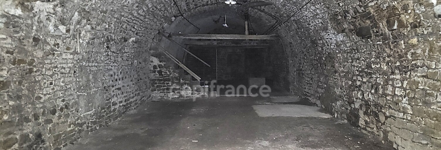 Local industriel 1 Pièce 160 m² à vendre à Arbois (39600)
