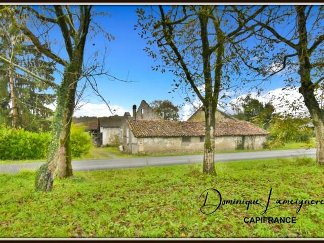 PROCHE PEYREHORADE ( 10 mn côté EST ) - CORPS DE FERME 265 m2 + DEPENDANCES 80 m2 — photo du bien
