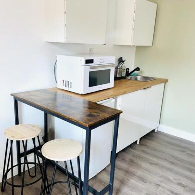 Appartement 1 pièces 460 €