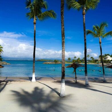 Appartement 2 pièces 280000 €