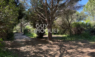 Terrain  28576 m² à vendre à Saint-Cyprien (66750)