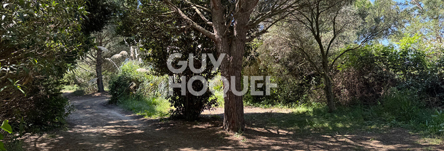 Terrain  28576 m² à vendre à Saint-Cyprien (66750)