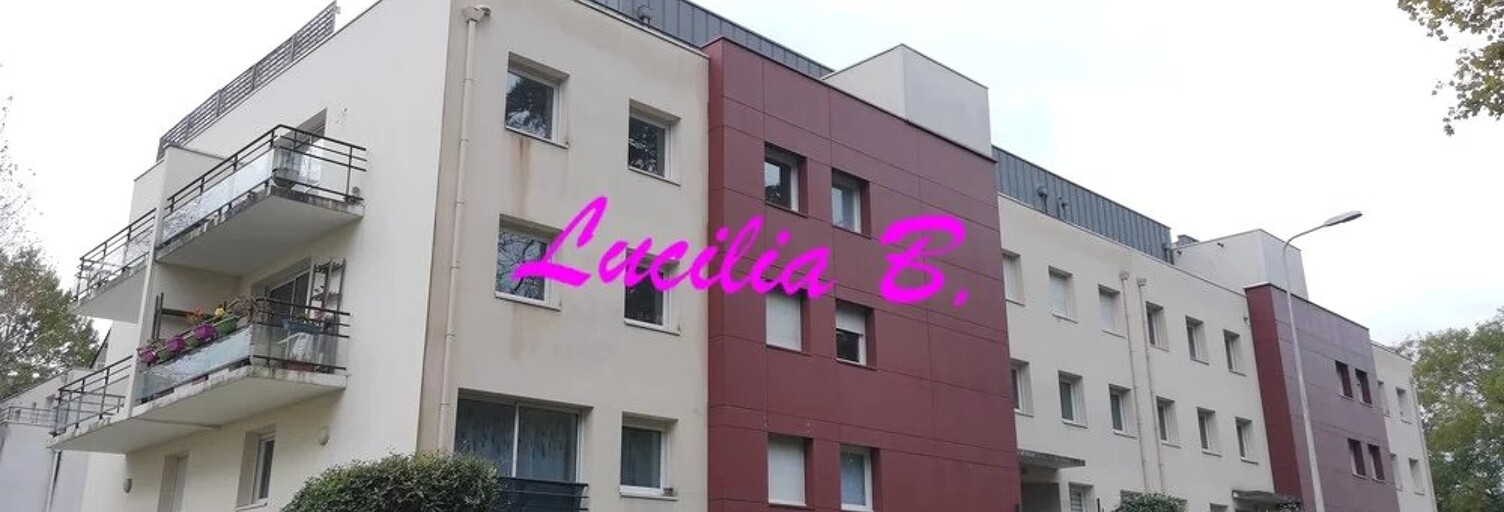 Appartement 3 Pièces 62 m² à louer à Tours (37100)