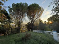 A Vendre 45mn de Toulouse superbe Villa piscine pool house g — photo 2