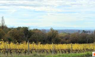 Maison 4 Pièces 176 m² à vendre à Panjas (32110)